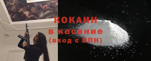 прущие грибы Коряжма