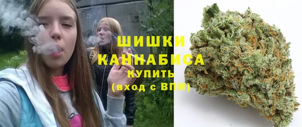 прущие грибы Коряжма