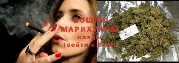 прущие грибы Коряжма