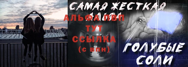 прущие грибы Коряжма