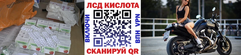 где купить наркоту  Кировград  ЛСД экстази кислота 
